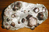 Crystals of almandin (18 cm), Switzerland