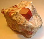 Grossular crystals on quartz (7 cm), Mexico